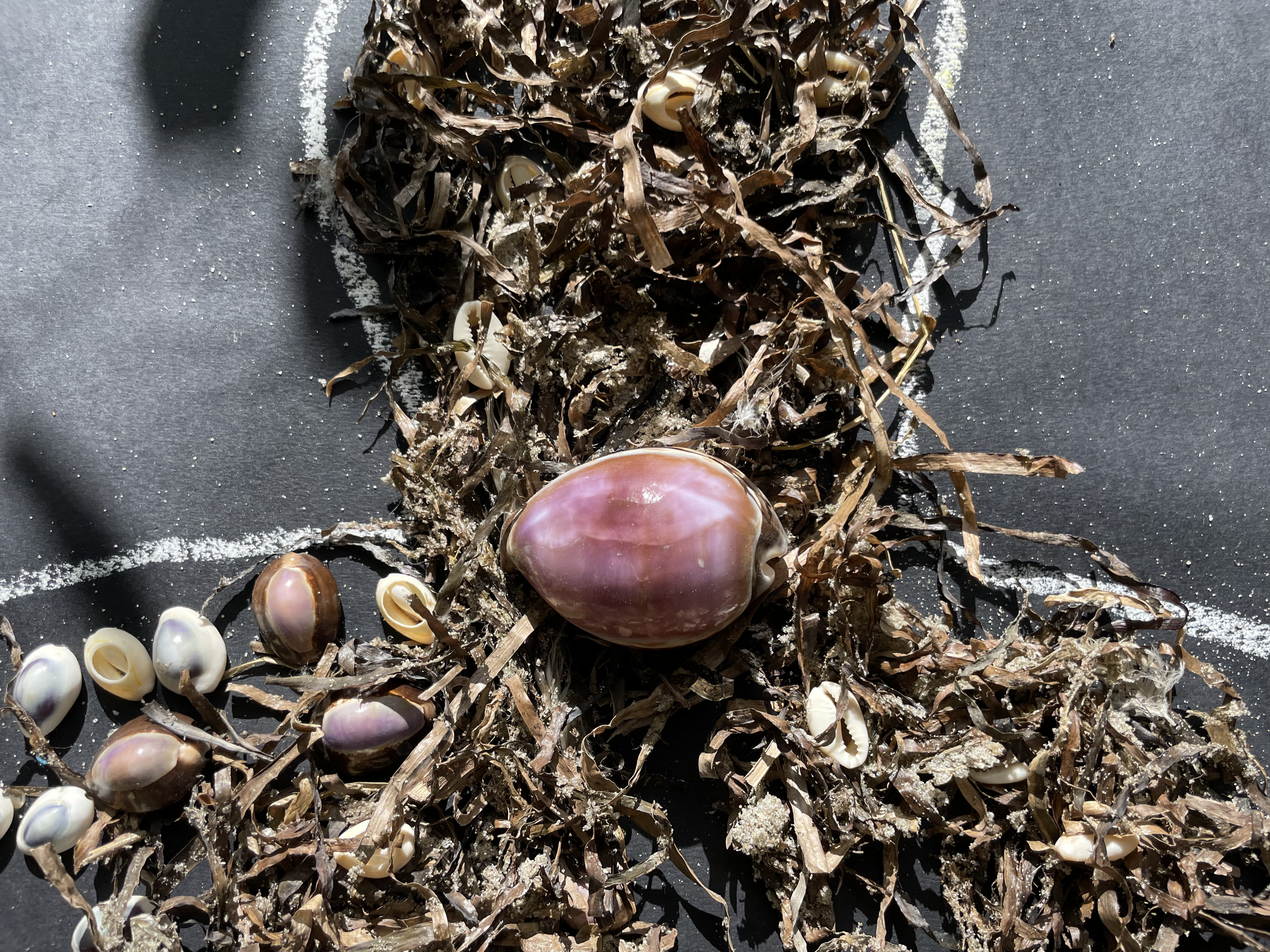 Pamela Homage 1 detail hero